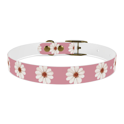 Floral collar small and medium-sized dogs