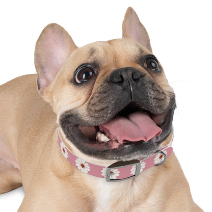 Floral collar small and medium-sized dogs